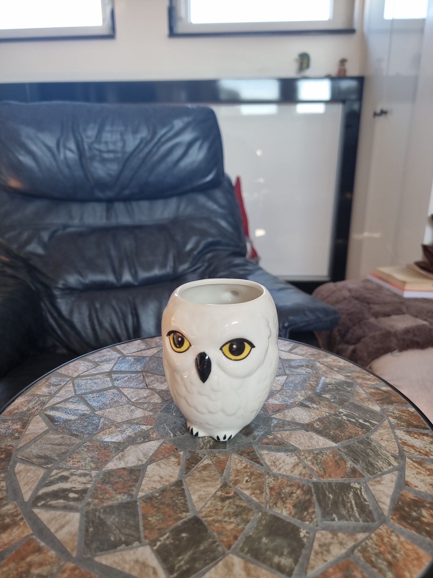Harry Potter Hedwig šolja